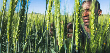 Investing in Africa s Agriculture The role of AATIF Blended Finance Investing in Africa s Agriculture The role of AATIF Blended Finance
